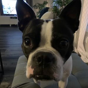 Meet your Posher, Todd